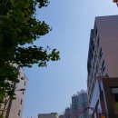 스타메디타워 이미지