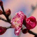 청주중앙여자고등학교 이미지