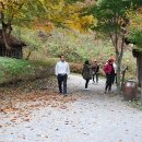 동막골 - 강릉시 금성로61번길 10-5 | 동막골