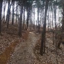 원주굽이길 원10코스 바람머리산길 이미지