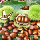 인천동명초등학교 이미지