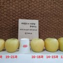 골드사과농원