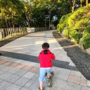 황송공원 교통교육장 이미지