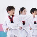 다오름태권도장 이미지