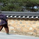 보룡1리 이미지