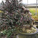 창암농장 이미지