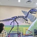 모노로포사우루스 이미지