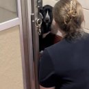 견생공감 이미지