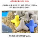 방파제 - 사천시 | 방파제