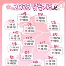 남대천제방길 이미지