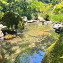 국립가리왕산자연휴양림 이미지