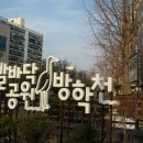 발바닥공원 Daum카페