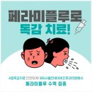 분당연세이비인후과의원 이미지