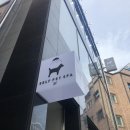 도그비잉 펫케어 이미지