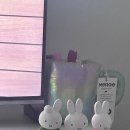 베베로버 이미지
