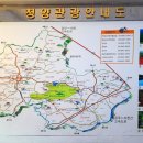 청양시내버스터미널 이미지