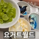 요거트월드포항문덕점