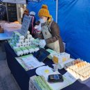 정란축산 네이버블로그