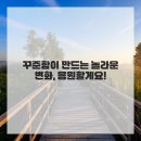 늘 건강한 한의원 | 솔직후기! 울산한의원에서 찾은 건강한 다이어트 비결
