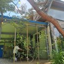 달의 정원 이미지