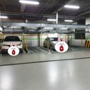 시지연합소아청소년과의원 이미지