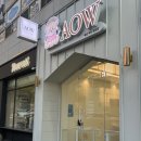 AOW(아오와) | 광주 중흥동 하이데이지/ 중흥동 애견미용실 aow(내돈내산 후기)