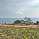 해안자동차부분정비업 | 부산 오륙도 수선화 명소 실시간 주차장 가는방법 가볼만한 곳