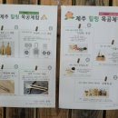 Zip디자인트리스쿨