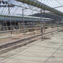 송촌목장 이미지