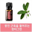 (주)윈터그린 이미지