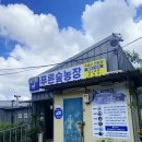 용전농장 | <경남 김해 진례면 맛집 "푸른숲농장"> 흑염소, 닭백숙, 오리고기먹으며 몸보신 하기.