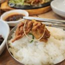 수리산두꺼비 이미지