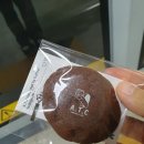 고색애견 이미지