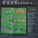 평촌중앙병원 | 평촌중앙공원 탐방 후기