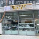 강아지분양 고양이분양 멍앤냥 수원점 네이버블로그