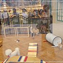 몰리스 놀이터/호텔 이미지