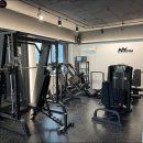 뉴욕피티 이미지