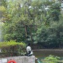 구룡고개들 | [홍콩] #26. 도심 속 힐링 스팟, 구룡공원에서 만난 플라밍고와 여유