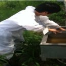 자영목장 이미지