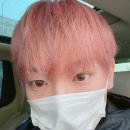보네일 Daum카페