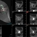 365안락한치과의원 이미지