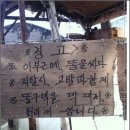 헐당구장 Daum카페