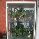 반송농장 이미지