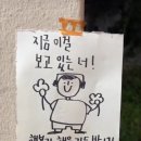 피아노리터