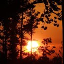 제주대학교 이미지