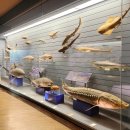 목포자연사문화박물관 | @목포자연사박물관 아이와 함께한 목포 여행 필수 코스