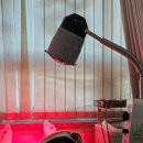 서래마을연세정형외과의원 이미지