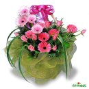 하점초교 이미지