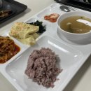 삼성물산 소재실 아르바이트 후기 / 삼성물산 패션부문