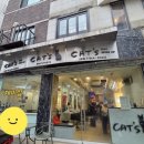 강남 논현동 메이크업 잘하는 곳 캣츠미용실 2호점 수진쌤 데일리 화장 후기